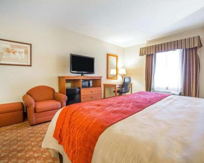 Comfort Inn And Suites - image 16