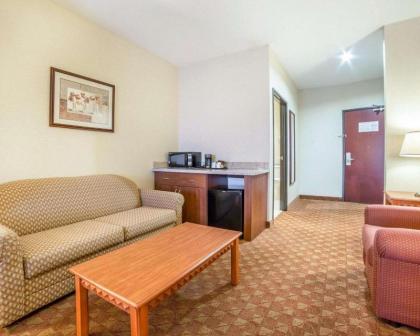 Comfort Inn And Suites - image 18