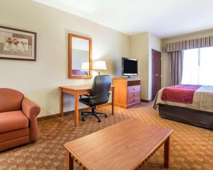 Comfort Inn And Suites - image 2