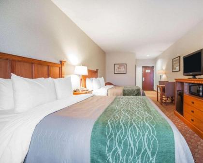 Comfort Inn And Suites - image 7