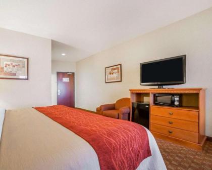 Comfort Inn And Suites - image 8