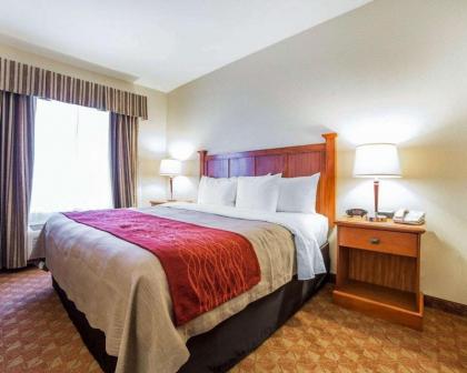 Comfort Inn And Suites - image 9