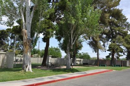 Las Vegas Camping Resort Cabin 5 - image 15
