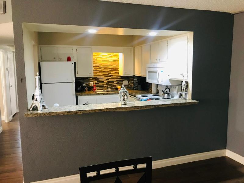 Amazing Spare Bedroom in Shared 2/B Condo behind Convention Center - image 6