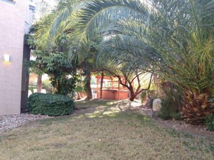 Villa Caridad - image 18