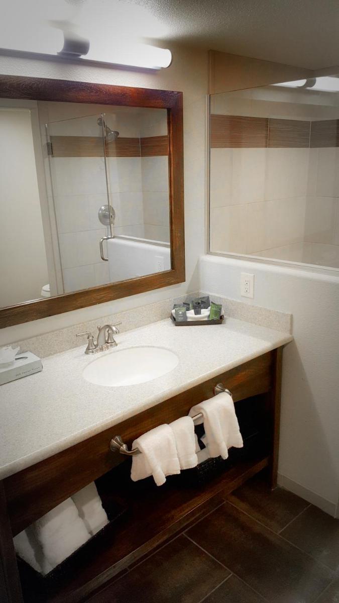 Hoover Dam Lodge - image 2