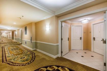 The Signature MGM by Orgoto - image 2