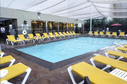 StayTogetherSuites - Penthouse Suite on the Strip - image 4