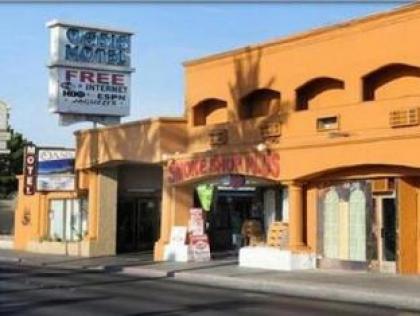 Oasis Motel - image 3