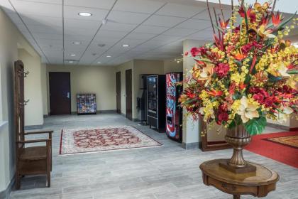 Skyline Hotel and Casino - image 12