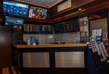 Skyline Hotel and Casino - image 14