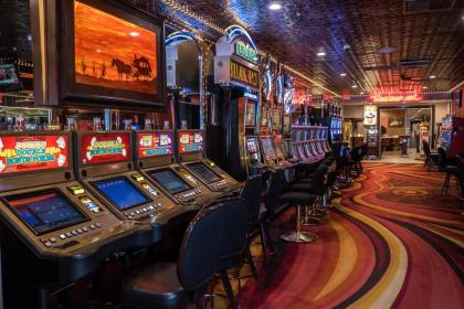 Skyline Hotel and Casino - image 17