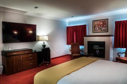 Skyline Hotel and Casino - image 22