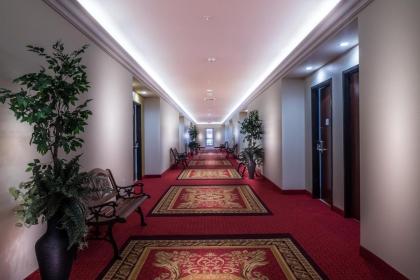 Skyline Hotel and Casino - image 8
