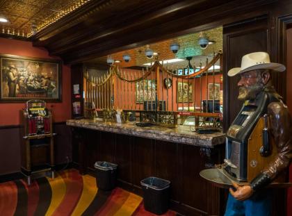 Skyline Hotel and Casino - image 9