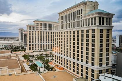 StripViewSuites at Vdara - image 8