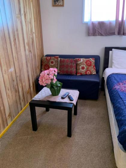 The Yellow Penthouse - image 11