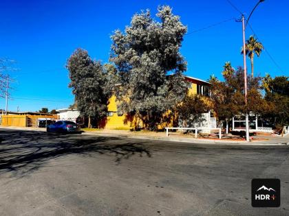 The Yellow Penthouse - image 14