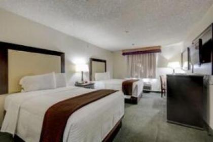 Lucky Club Casino And Hotel - image 12