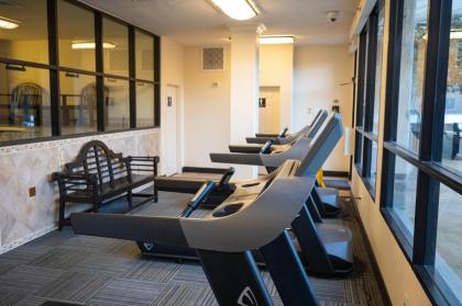 Stay Together Suites - image 17