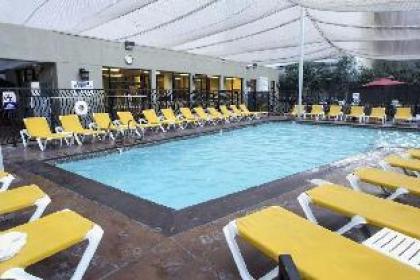 Stay Together Suites 1Bd1BA Apartment - image 5