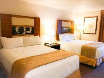 COMFORT INN NORTH - image 20
