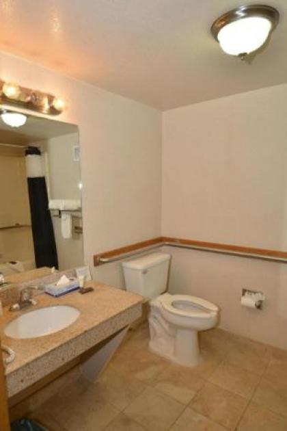 COMFORT INN NORTH - image 9