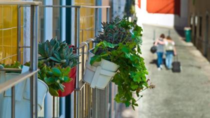 Duque´s Apartments - image 1