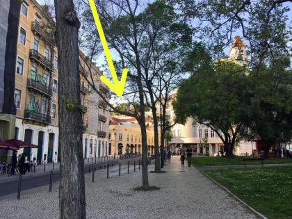 Studios with Mezzanine Rua da Moeda - image 8