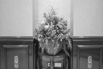 PEMBRIDGE PALACE HOTEL - image 23