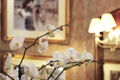 Berjaya Eden Park London Hotel - image 14