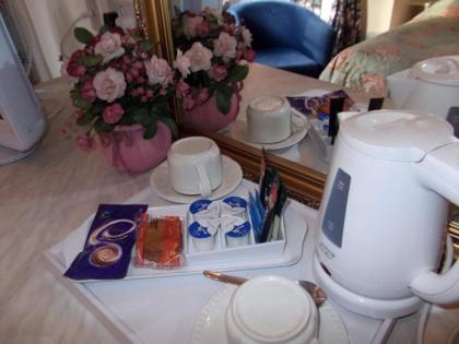Maranton House Hotel Kensington - image 8