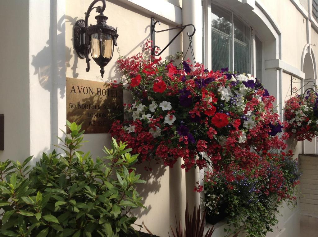 Avon Hotel - main image