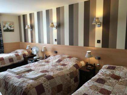 St George Hotel - image 18