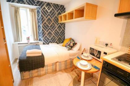 Cosy  Bright studio central London L1 London 