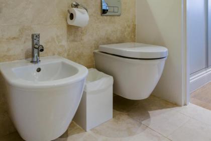 Beautiful 2 Bedroom 2 Bath Flat in South Kensington - image 23