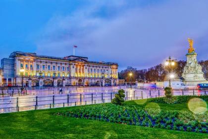 The Buckingham Royal - image 28