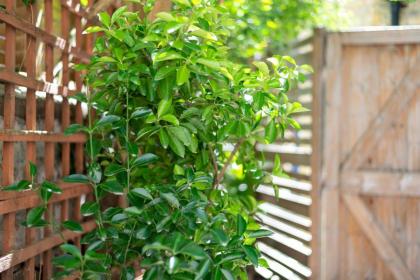 GuestReady - Micro Garden flat in Fulham - image 23