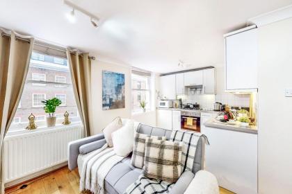 Park Lane Apartments Marble Arch - image 26
