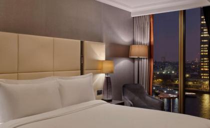 Hyatt Regency London Albert Embankment - image 22
