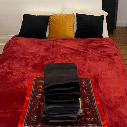 Beautiful and Cozy One Bedroom/ One Bath Central London