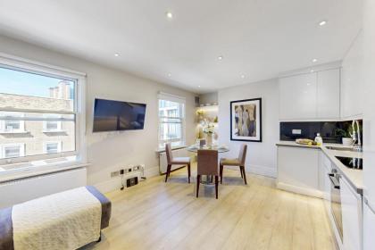 Park Lane Apartments Marylebone - image 21