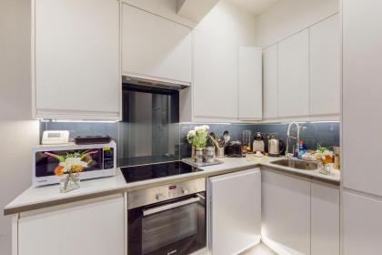 Park Lane Apartments Marylebone - image 28