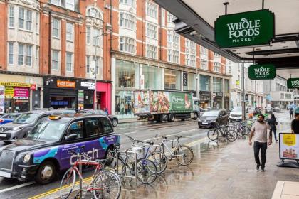 Beautiful 2-Bed Apartment in Central London - image 29