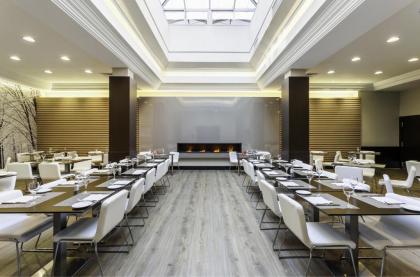 Ilunion Suites Madrid - image 8