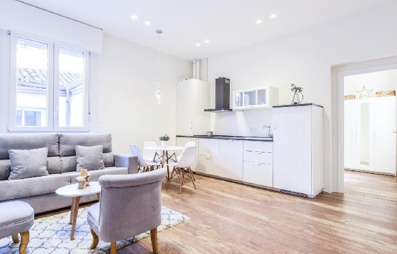 LUXURY APARTAMENT ZONA ATOCHA 6PAX - main image