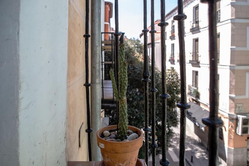 Modern 3BDR 2Bath in La Latina 10mins to metro - image 7