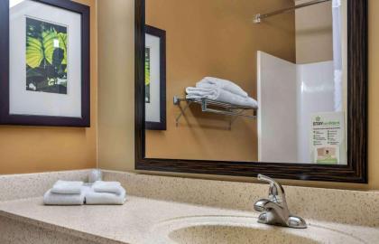 Extended Stay America Suites - Orlando - Convention Center - Universal Blvd - image 20