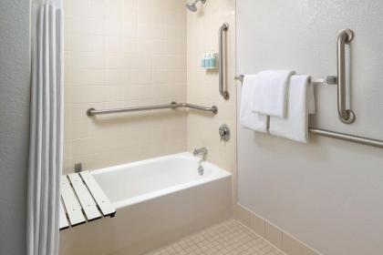Courtyard by Marriott Orlando International Drive/Convention Center - image 18