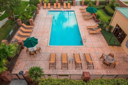 Courtyard by Marriott Orlando International Drive/Convention Center - image 22